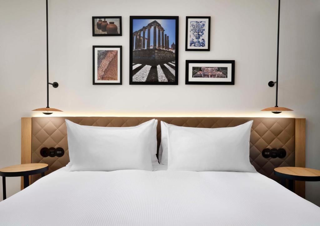 hilton 8